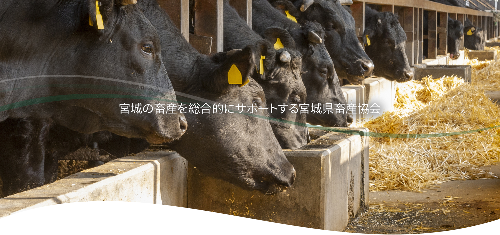 一般社団法人宮城県畜産協会