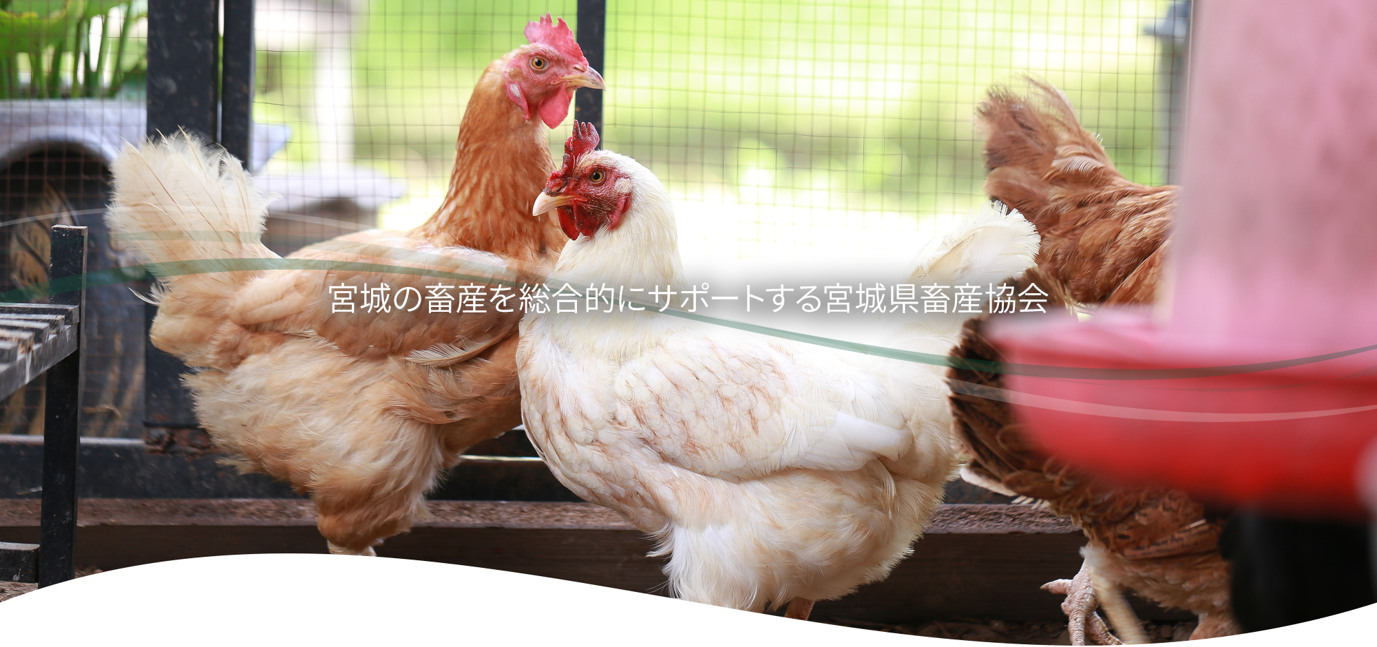 一般社団法人宮城県畜産協会