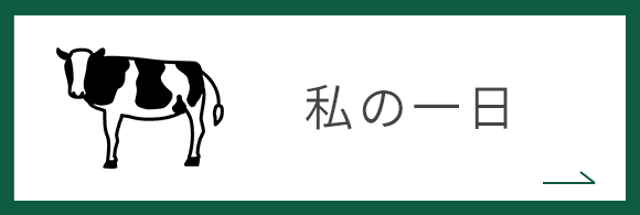 私の一日