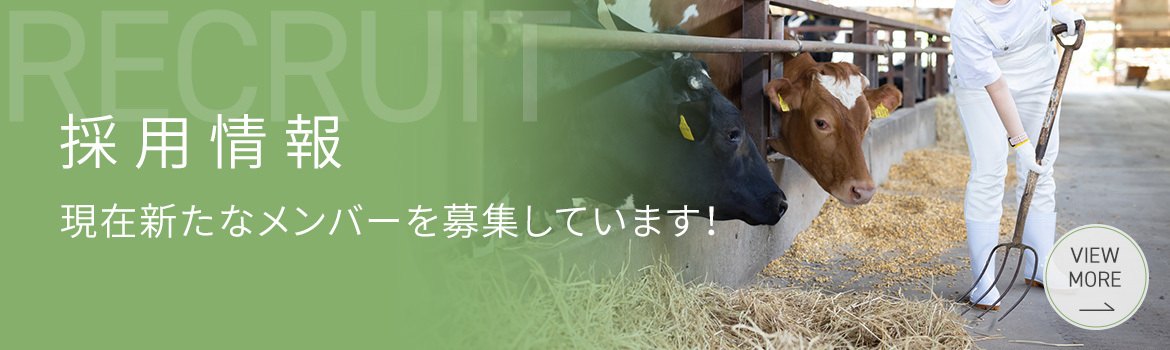 採用お知らせ