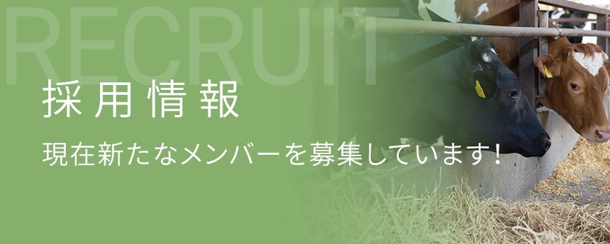 採用お知らせ